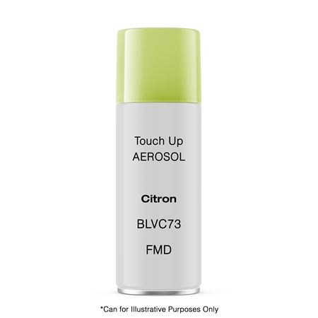 Touch Up Aerosol Citron (BLVC73/FMD) - RX4148A